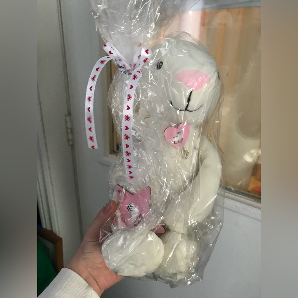 Figure skating stuffie gift
